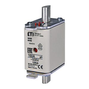 Fuse Link NH00 gG 160A